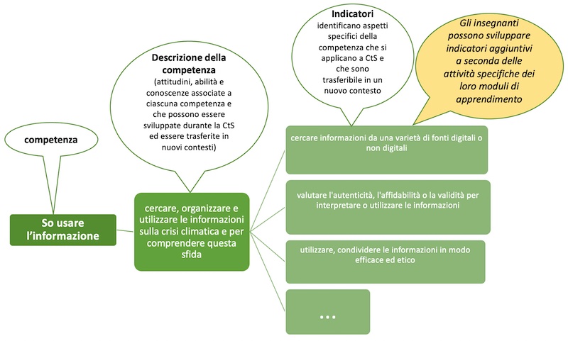 summary of comptencies