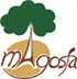 Magofsa logo